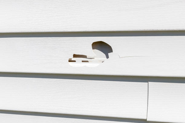 Professional Siding Installation & Repair in Kirkwood, MO